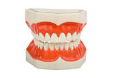 Denture1